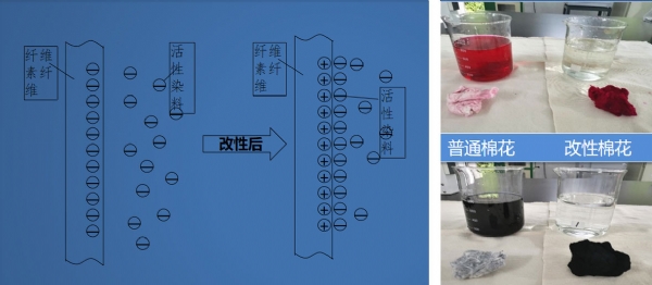 陽(yáng)離子改性纖維